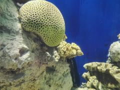 -福州罗源湾海洋世界旅游区