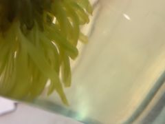-北李妈妈菜·海肠捞饭(开发区万达店)