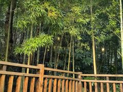 -天目湖涵田半山温泉