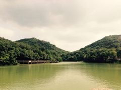 -白马涧龙池景区