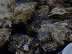 原只蒸生蚝-嘉升大排档(番禺总店)