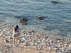 -海岛日记(养马岛店)