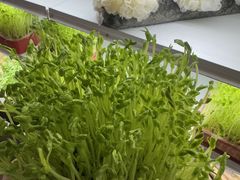-番食园鲜食火锅(高新店)