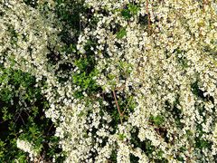 -浙江农林大学(东湖校区)