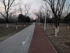 -绿堤公园