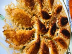 猪肉酸菜煎饺-石老头关东饺子王·东北菜(嘉华鑫城店)