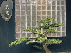 -椿杨樘·明康泡浴养生馆(重庆店)