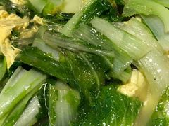 -船歌·鱼水饺青岛菜(合肥路永旺店)