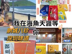 -鹏城八珍深圳特产手信(罗湖店)