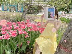 -石家庄市植物园