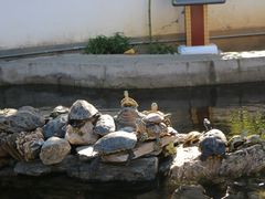 -红螺寺