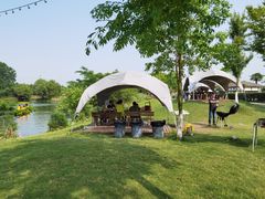 -太阳岛度假酒店