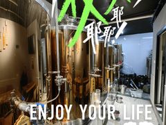 -玩啤国度精酿啤酒(宝山店)