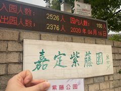 -嘉定紫藤园