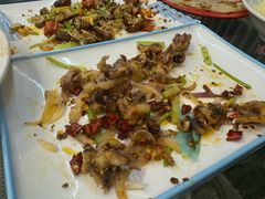 -大鹅岛绿色生态美食园