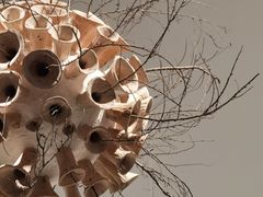 -时代美术馆-成都馆