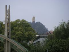 -南山植物园