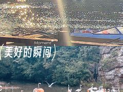 -宁波野生动物园