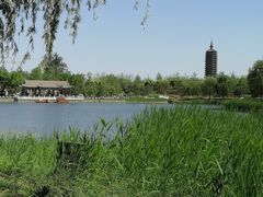 -西海子公园