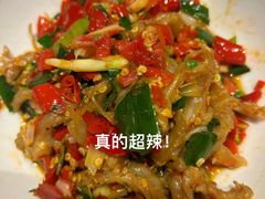 鸭掌筋-壹盏灯(惠农店)
