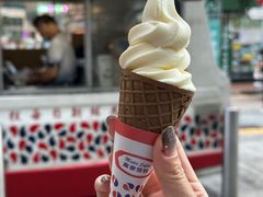 -富豪雪糕车流动点(尖沙咀店)