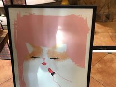 -more than meow吴止猫主题餐厅(承德 中船汇店)