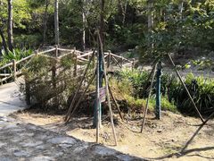 -白水寺森林公园