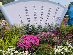-北京十三陵国家森林公园蟒山景区