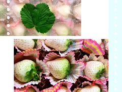-俏湘私房菜(国贸店)