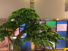 -池记大牌档(广纸店)