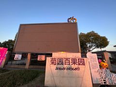 -菊园百果园