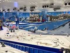 -湘江欢乐城欢乐雪域
