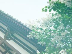 -西安青龙寺遗址景区