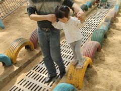 -合肥滨湖国家森林公园