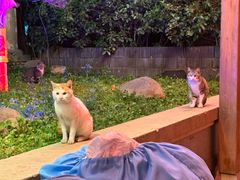 -汤W城市微度假(仓山店)