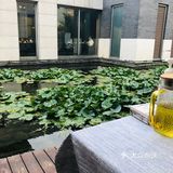 里面还是挺大的. 特色推荐