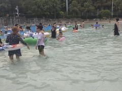 -重庆海昌加勒比海水世界