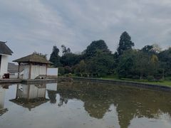 -张坝桂圆林公园