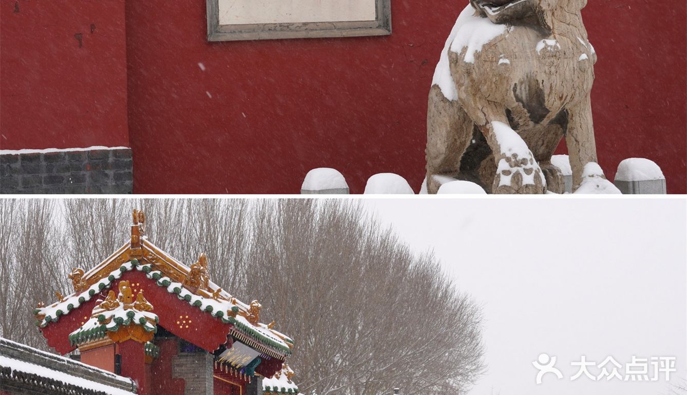 沈阳冬天的第一场雪｜大雪让沈城变成了盛京