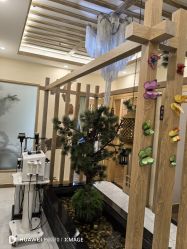 -芳朵美容养生SPA