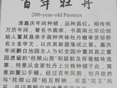 -上海醉白池公园