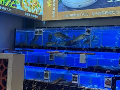 -林辉家宴·本地家常菜·头牌清远鸡(先锋店)