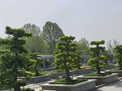 -石家庄市植物园