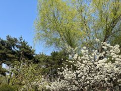 -元大都城垣遗址公园