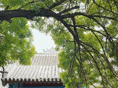 -张学良旧居陈列馆