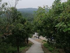 -北京西山国家森林公园