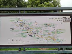 -大唐贡茶院