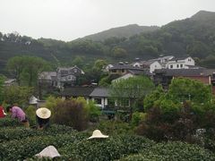 -龙井村