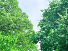 -波尔登森林公园