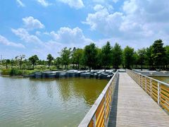 -春花秋色城市公园